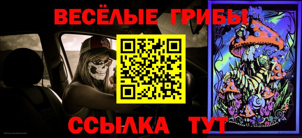 Галлюциногенные грибы Psilocybine cubensis Междуреченск